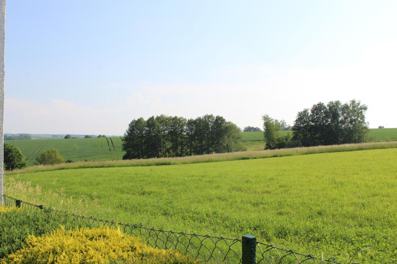 Ferienwohnung Am Kugelbaum Lunzenau Kültér fotó